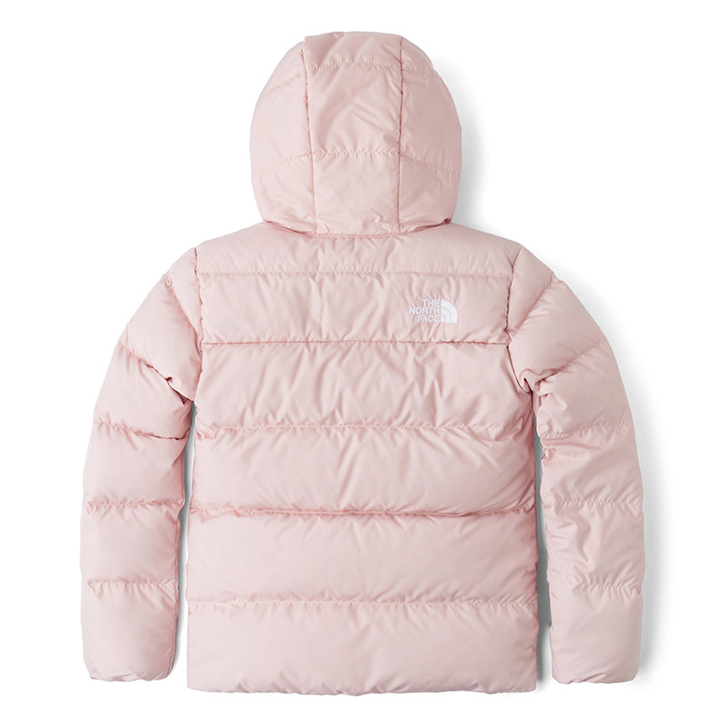 The north face on sale g andes down jacket